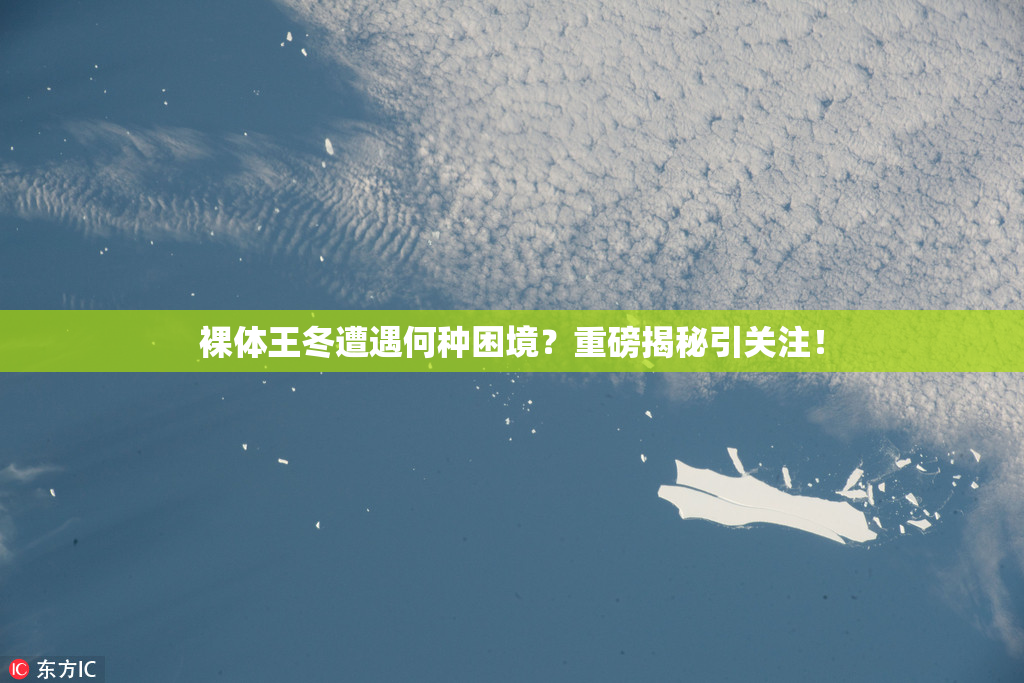 裸体王冬遭遇何种困境？重磅揭秘引关注！