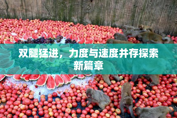 双腿猛进，力度与速度并存探索新篇章