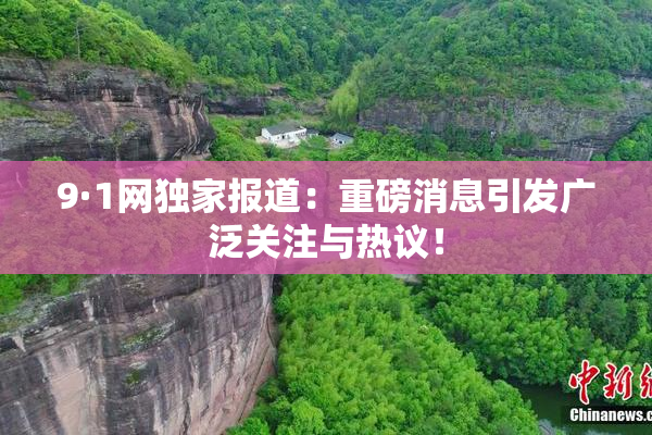 9·1网独家报道：重磅消息引发广泛关注与热议！