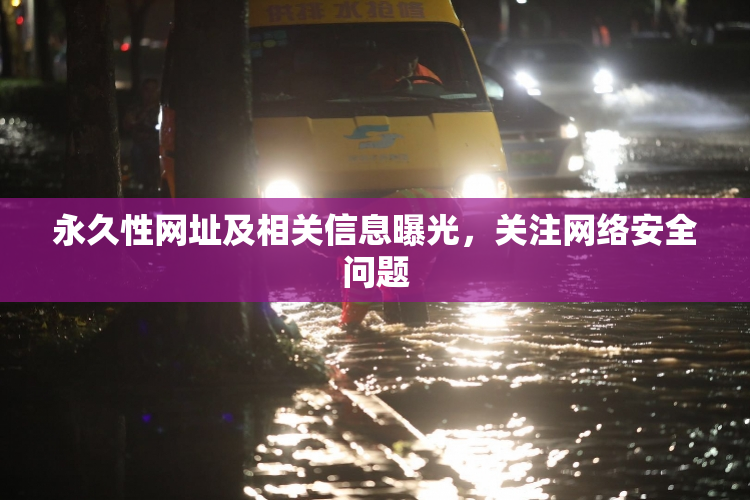 永久性网址及相关信息曝光，关注网络安全问题