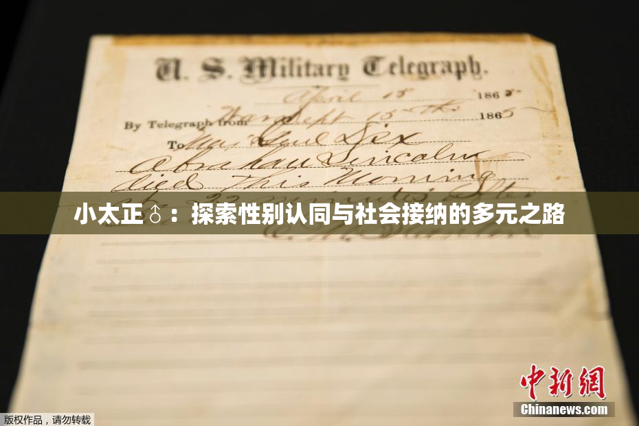 小太正♂：探索性别认同与社会接纳的多元之路