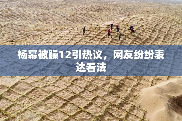 杨幂被躁12引热议，网友纷纷表达看法