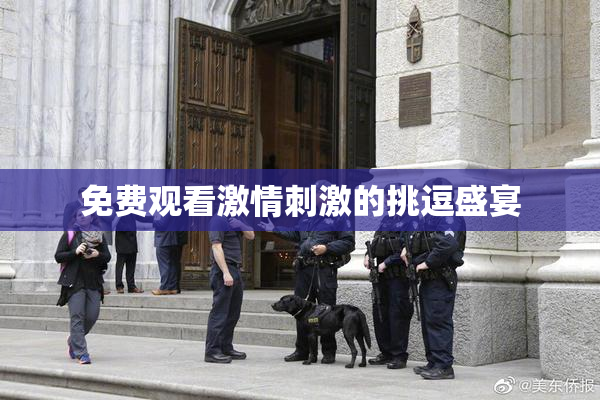 免费观看激情刺激的挑逗盛宴