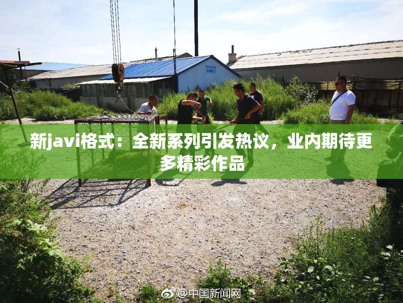 新javi格式：全新系列引发热议，业内期待更多精彩作品