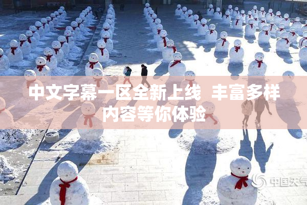 中文字幕一区全新上线  丰富多样内容等你体验