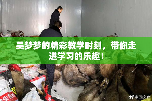 吴梦梦的精彩教学时刻，带你走进学习的乐趣！