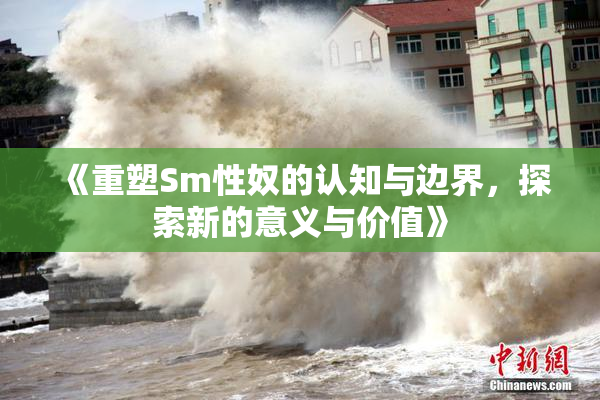 《重塑Sm性奴的认知与边界，探索新的意义与价值》