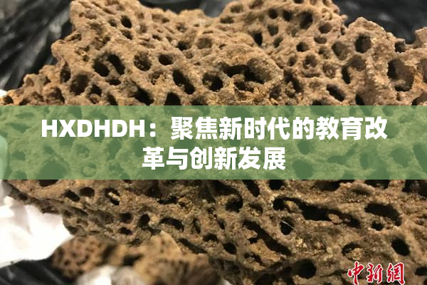 HXDHDH：聚焦新时代的教育改革与创新发展