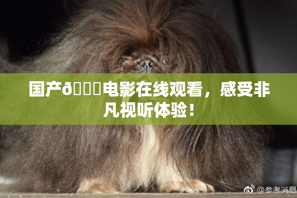 国产🔞电影在线观看，感受非凡视听体验！