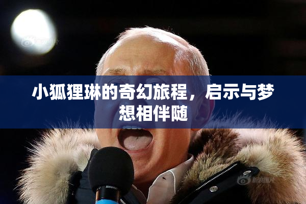 小狐狸琳的奇幻旅程，启示与梦想相伴随