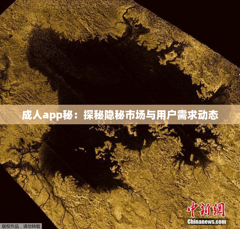 成人app秘：探秘隐秘市场与用户需求动态