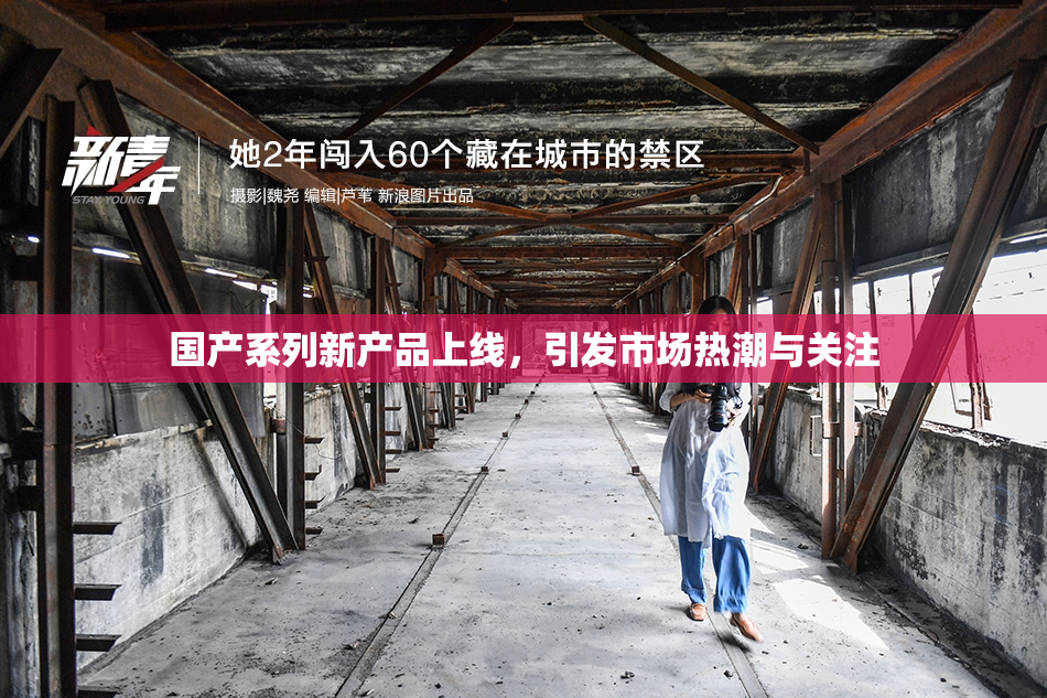国产系列新产品上线，引发市场热潮与关注
