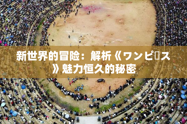 新世界的冒险：解析《ワンピース》魅力恒久的秘密
