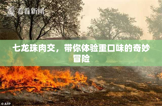 七龙珠肉交，带你体验重口味的奇妙冒险