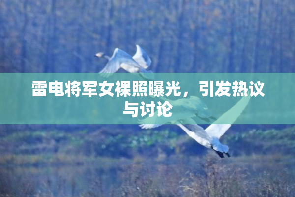 雷电将军女裸照曝光，引发热议与讨论