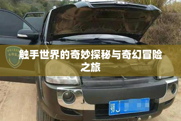 触手世界的奇妙探秘与奇幻冒险之旅