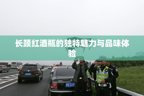 长颈红酒瓶的独特魅力与品味体验