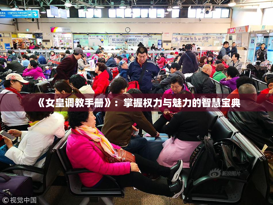 《女皇调教手册》：掌握权力与魅力的智慧宝典
