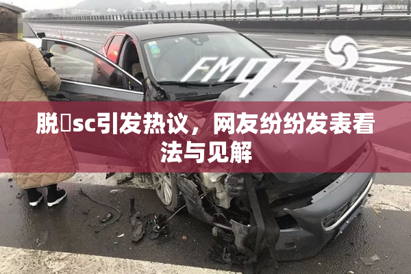 脱糞sc引发热议，网友纷纷发表看法与见解