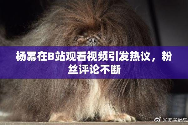杨幂在B站观看视频引发热议，粉丝评论不断