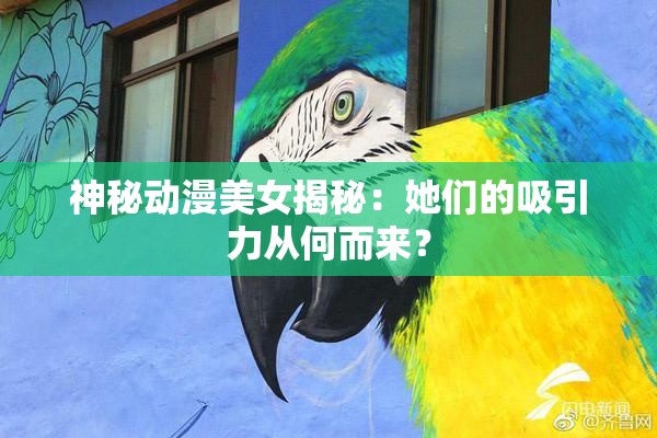 神秘动漫美女揭秘：她们的吸引力从何而来？