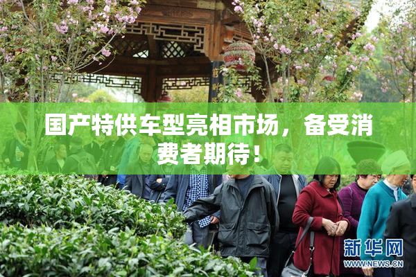 国产特供车型亮相市场，备受消费者期待！