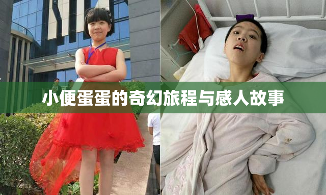 小便蛋蛋的奇幻旅程与感人故事
