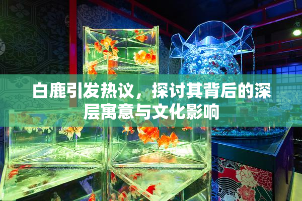 白鹿引发热议，探讨其背后的深层寓意与文化影响