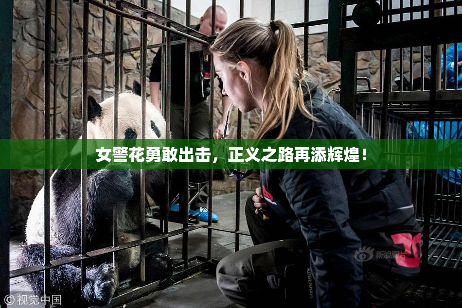 女警花勇敢出击，正义之路再添辉煌！
