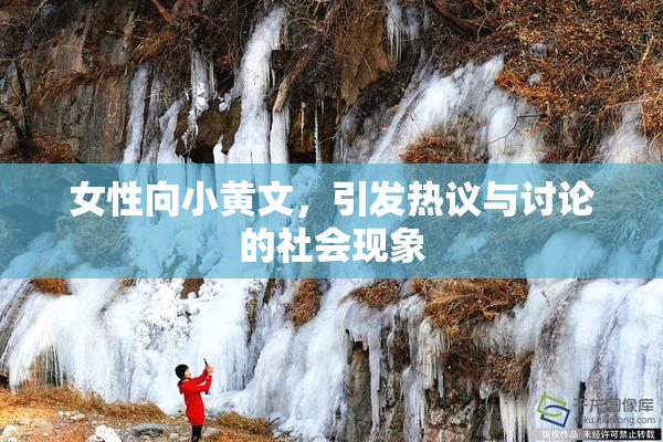 女性向小黄文，引发热议与讨论的社会现象