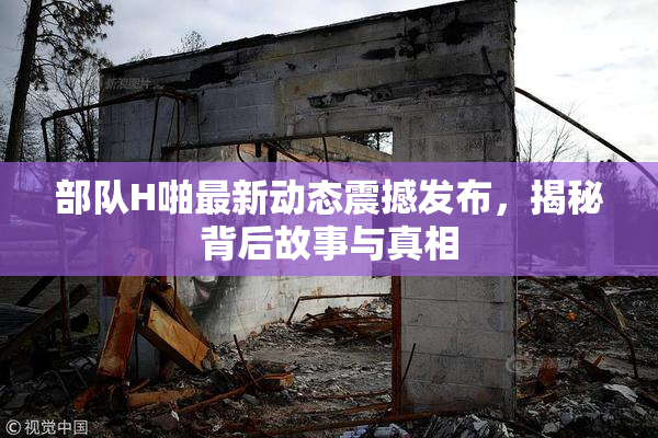 部队H啪最新动态震撼发布，揭秘背后故事与真相