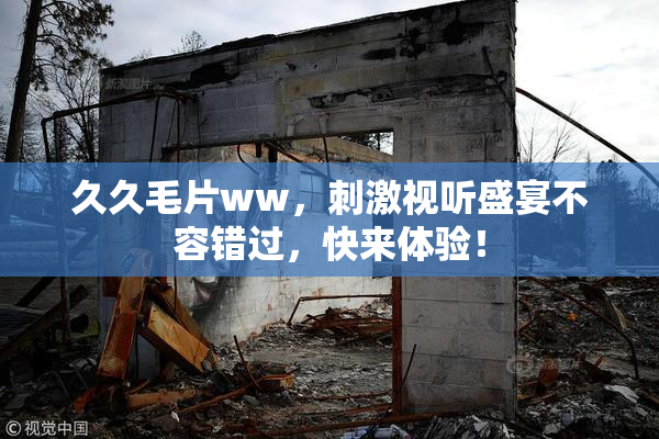 久久毛片ww，刺激视听盛宴不容错过，快来体验！