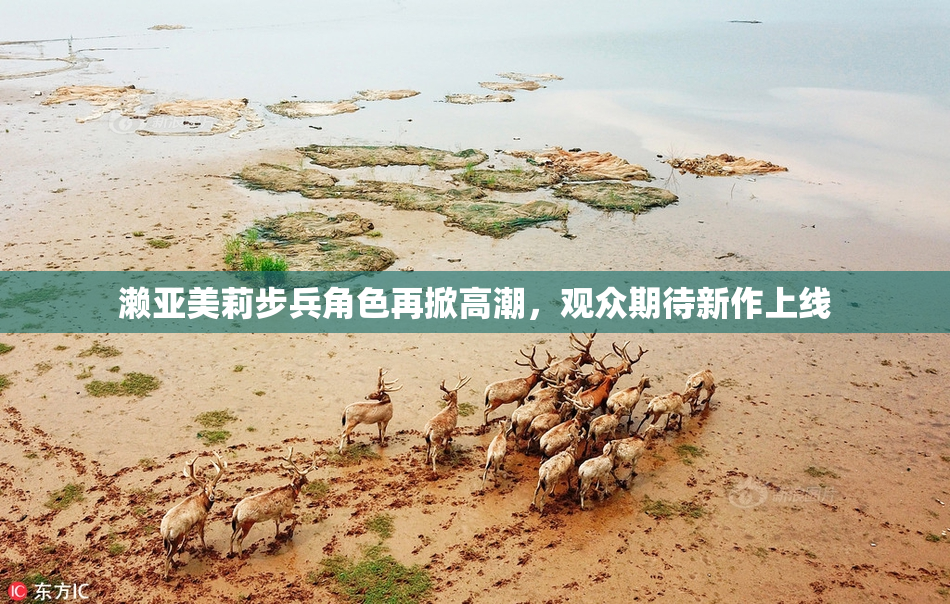 濑亚美莉步兵角色再掀高潮，观众期待新作上线