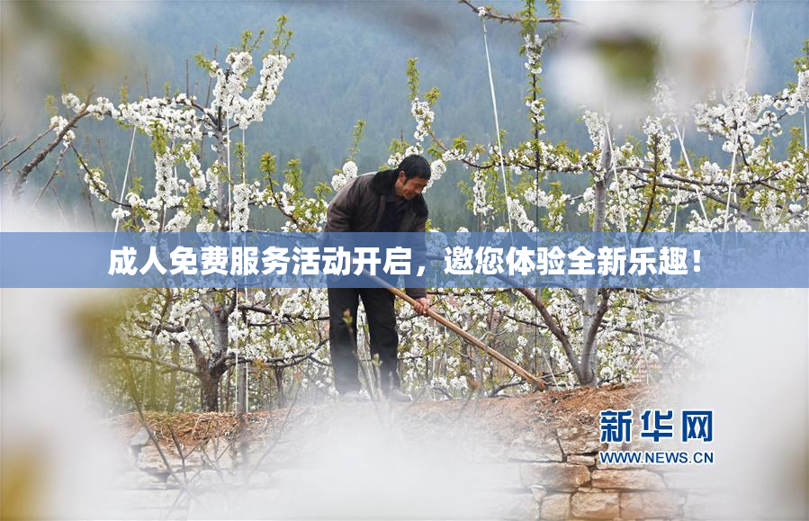 成人免费服务活动开启，邀您体验全新乐趣！