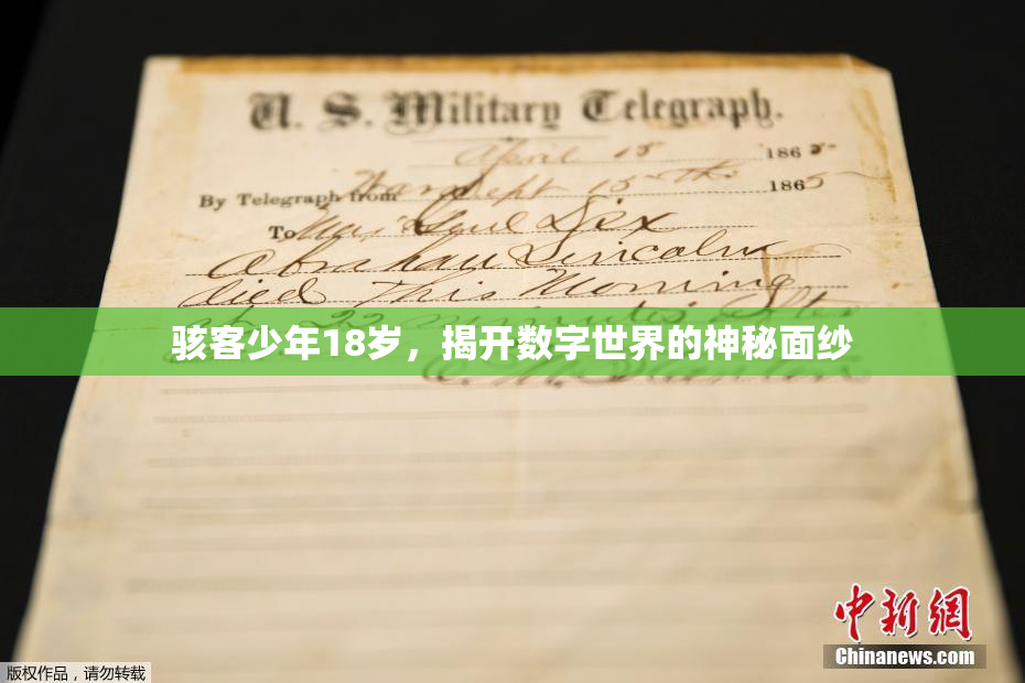 骇客少年18岁，揭开数字世界的神秘面纱