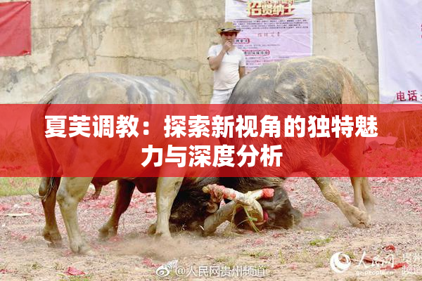 夏芙调教：探索新视角的独特魅力与深度分析