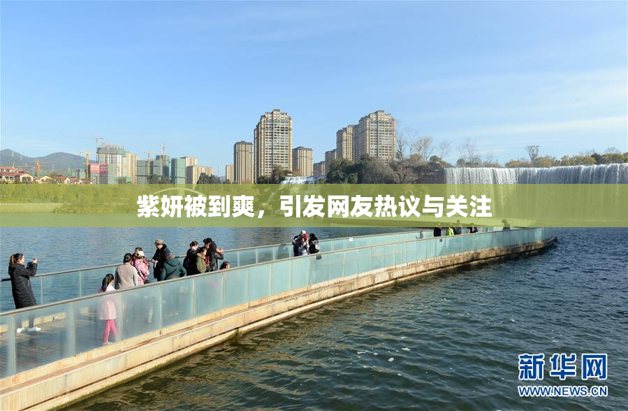 紫妍被到爽，引发网友热议与关注