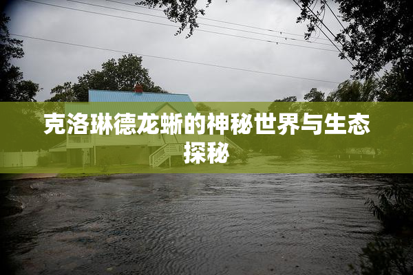 克洛琳德龙蜥的神秘世界与生态探秘