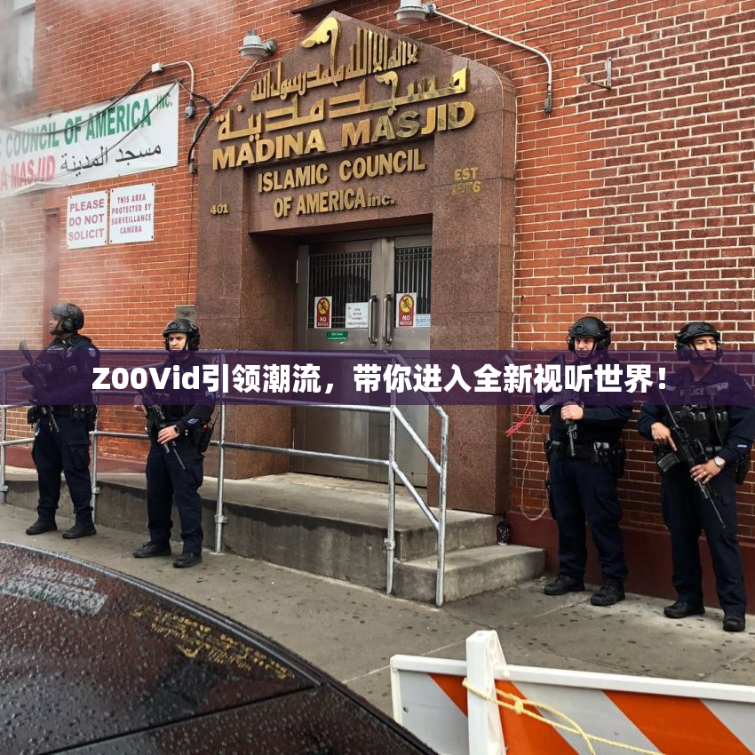 Z00Vid引领潮流，带你进入全新视听世界！