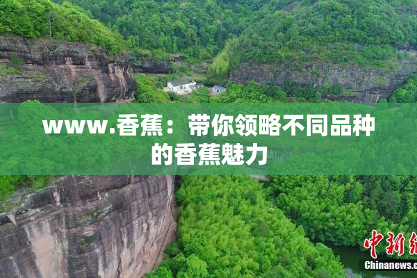 www.香蕉：带你领略不同品种的香蕉魅力