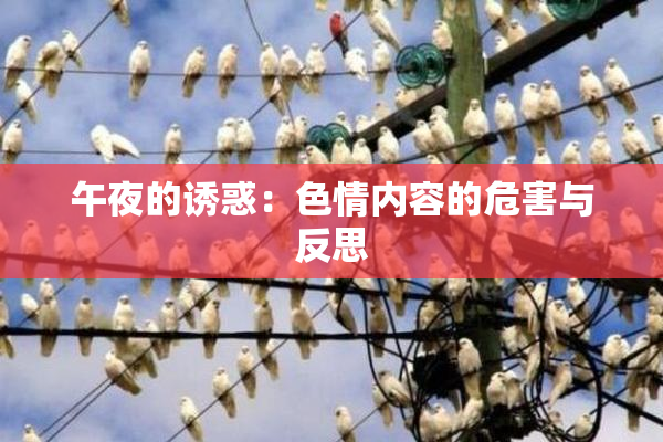 午夜的诱惑：色情内容的危害与反思