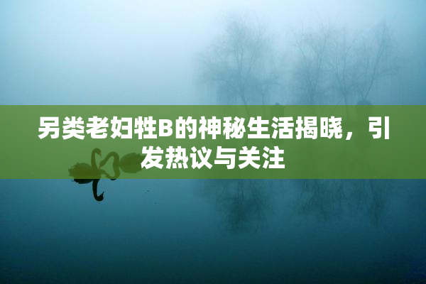 另类老妇牲B的神秘生活揭晓，引发热议与关注