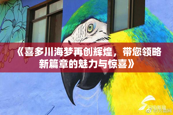 《喜多川海梦再创辉煌，带您领略新篇章的魅力与惊喜》