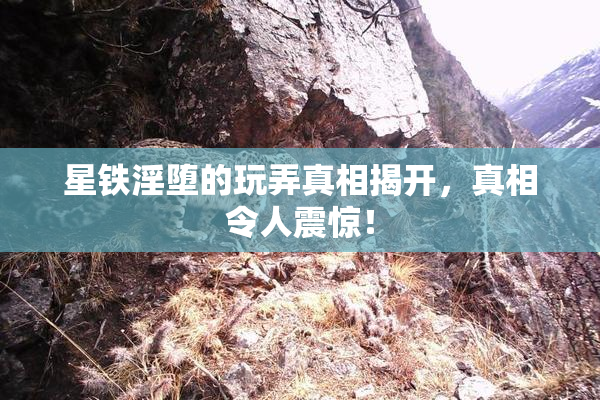 星铁淫堕的玩弄真相揭开，真相令人震惊！