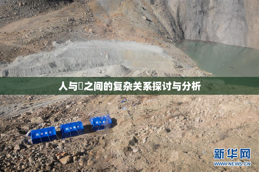 人与嘼之间的复杂关系探讨与分析