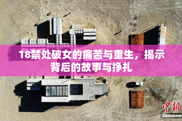 18禁处破女的痛苦与重生，揭示背后的故事与挣扎