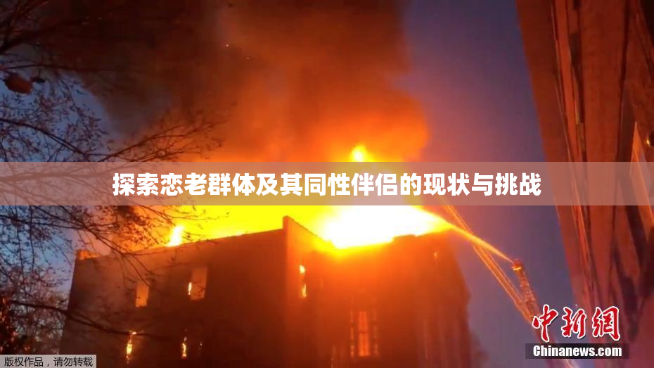 探索恋老群体及其同性伴侣的现状与挑战