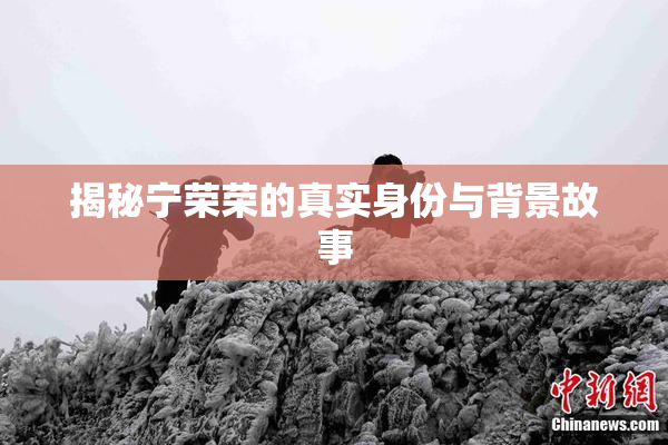揭秘宁荣荣的真实身份与背景故事