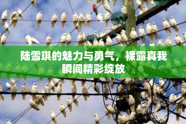 陆雪琪的魅力与勇气，裸露真我瞬间精彩绽放