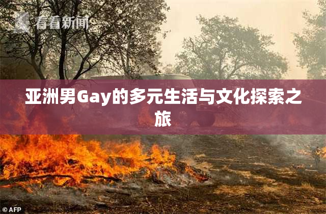 亚洲男Gay的多元生活与文化探索之旅